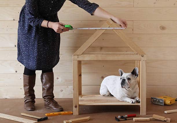 construire une niche pour chien