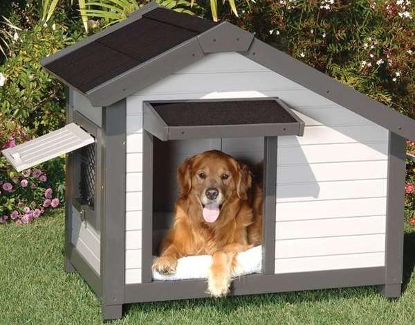 construire une niche pour chien