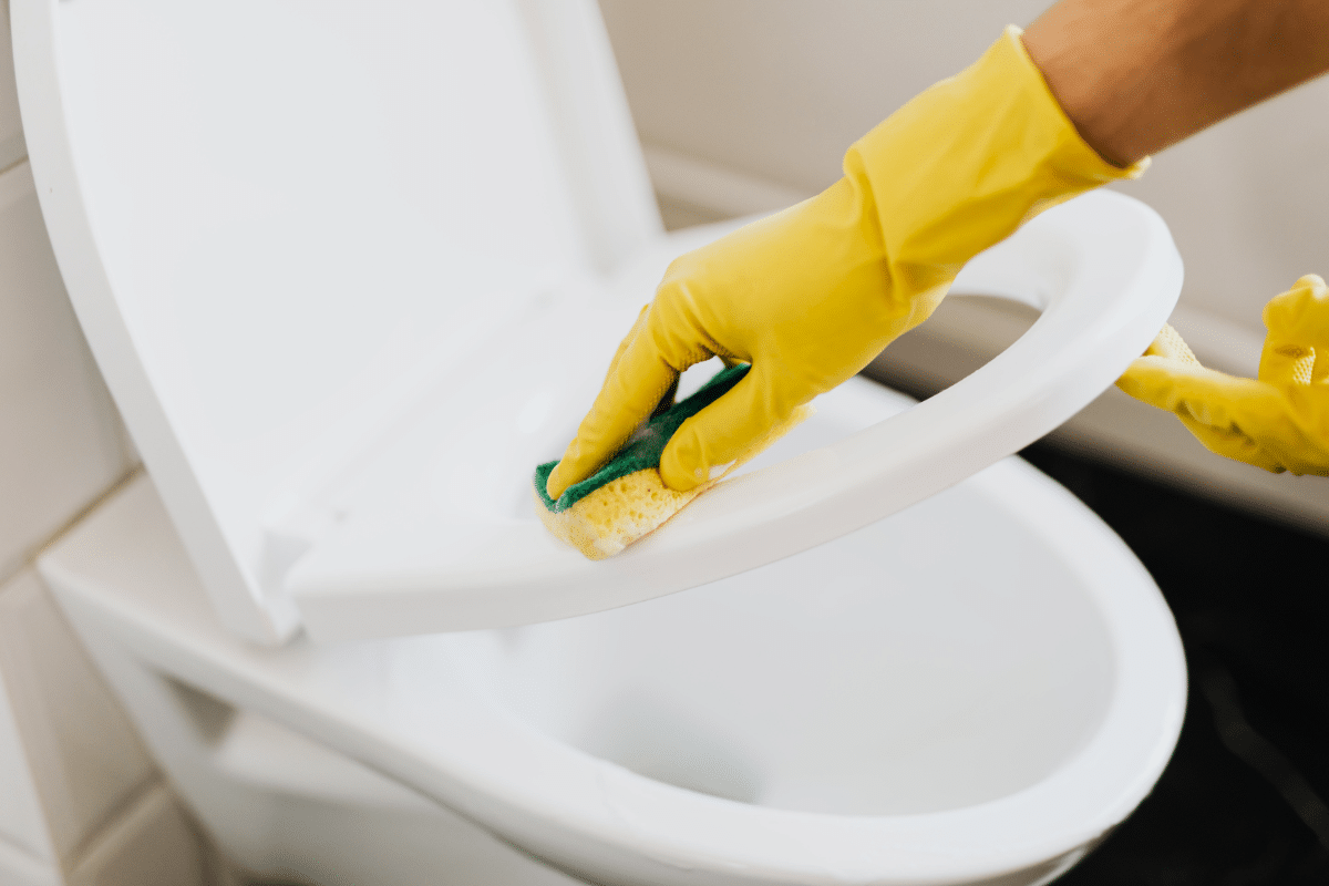 nettoyer la lunette de toilette