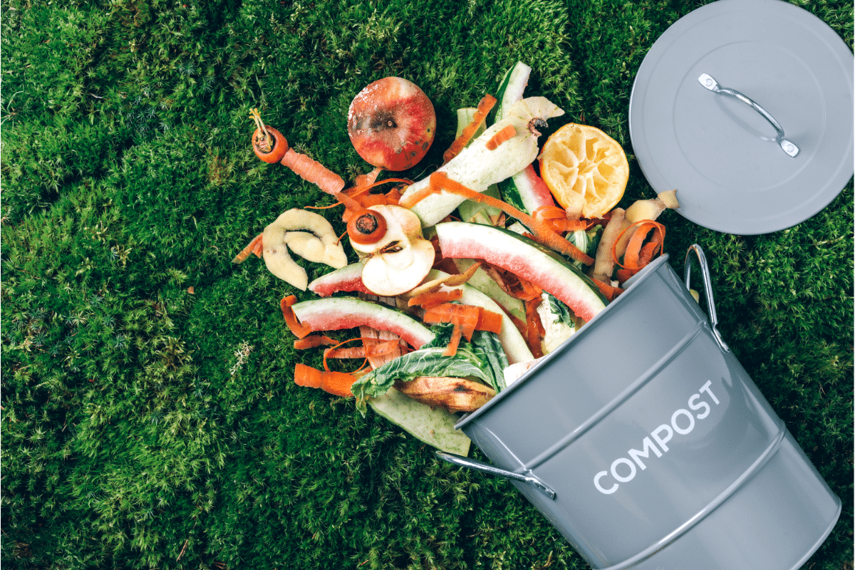 où ne jamais placer votre poubelle à compost